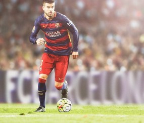 处理指南用户体验深度分析